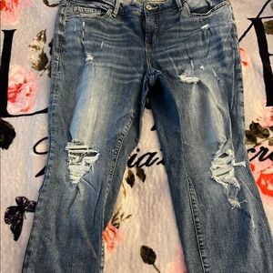 Torrid Boyfriend Jeans